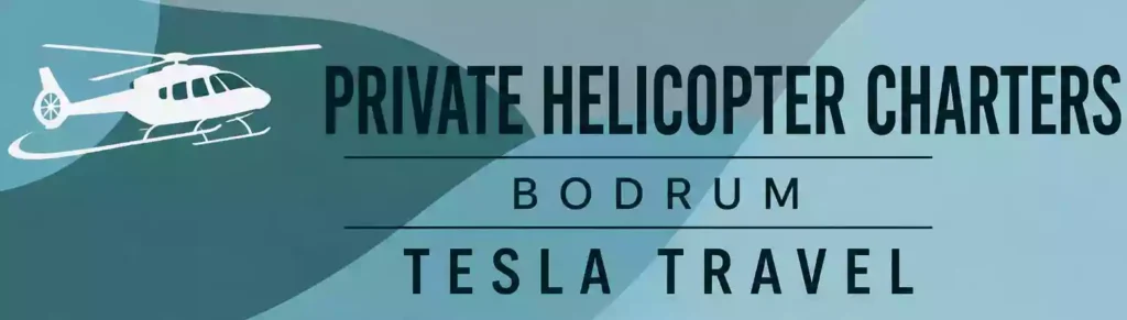 Tesla Travel
